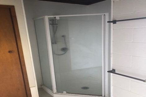 Photo of property in 124c Galloway Street, Hamilton East, Hamilton, 3216