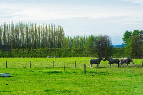 Photo of property in 171 Main Road, Matawhero, Gisborne, 4071