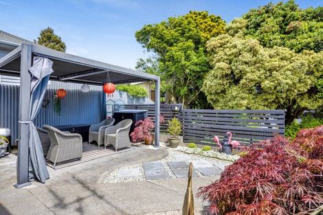 Photo of property in 11 Fitzherbert Avenue, Springvale, Whanganui, 4501