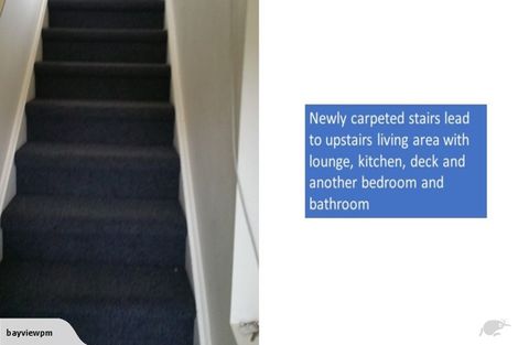 Photo of property in 1/206 Manuka Road, Bayview, Auckland, 0629