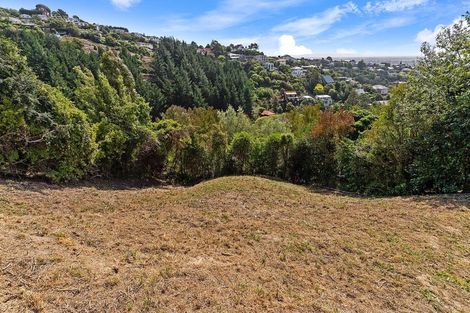 Photo of property in 100 Holliss Avenue, Cashmere, Christchurch, 8022