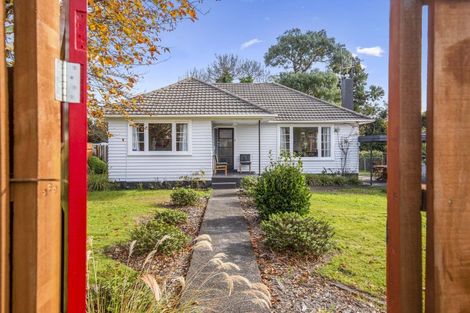 Photo of property in 6 Mabel Street, Levin, 5510