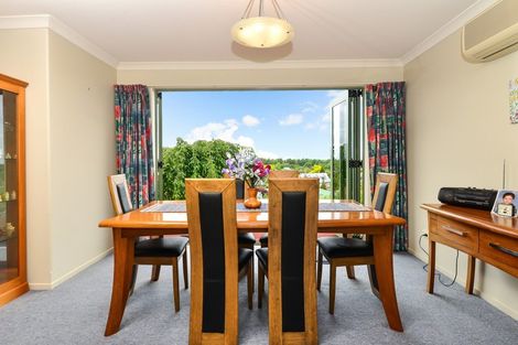 Photo of property in 38 Eclipse Rise, Flagstaff, Hamilton, 3210