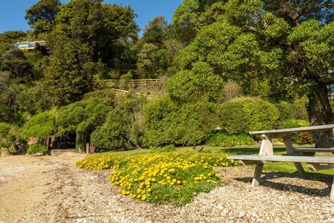 Photo of property in 79-113 Port Underwood Road, Waikawa, Picton, 7281