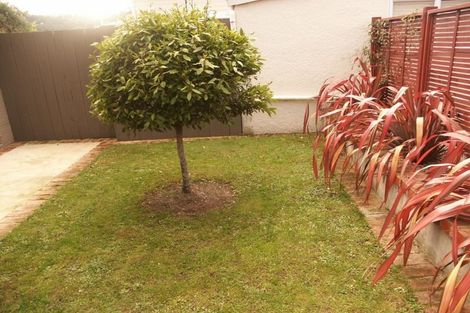 Photo of property in 60 Nelson Street, Forbury, Dunedin, 9012