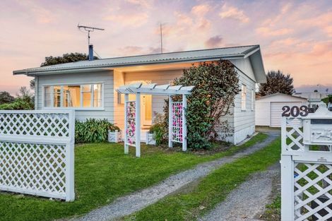 Photo of property in 203 Lamb Street, Leamington, Cambridge, 3432