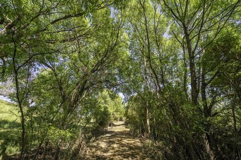 Photo of property in 50 Cliff Road, Tasman, Upper Moutere, 7173