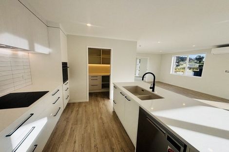 Photo of property in 39 Muster Road, Pukekohe, 2120