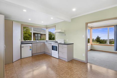 Photo of property in 17 Salmond Street, Halfway Bush, Dunedin, 9010