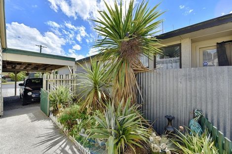 Photo of property in 47 Frank Street, Gore, 9710