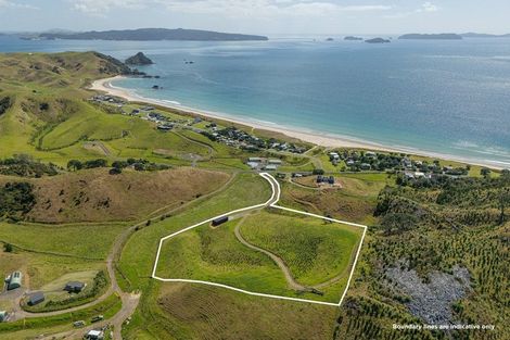 Photo of property in 838 Black Jack Road, Opito Bay, Whitianga, 3592