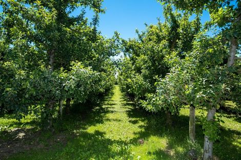 Photo of property in 95 Saint Georges Road, Karamu, Hastings, 4172