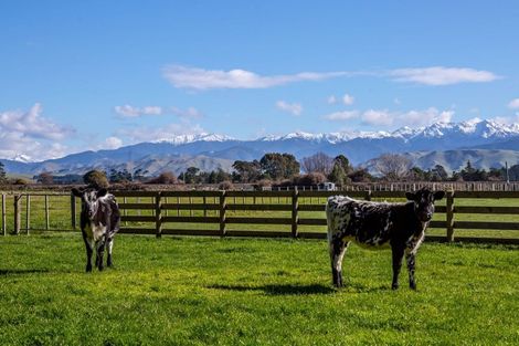 Photo of property in 58 Donovans Road, Kopuaranga, Masterton, 5882