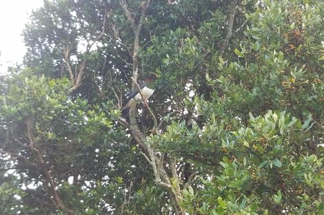 Photo of property in 1/224 Corcoran Road, Te Pahu, Hamilton, 3285