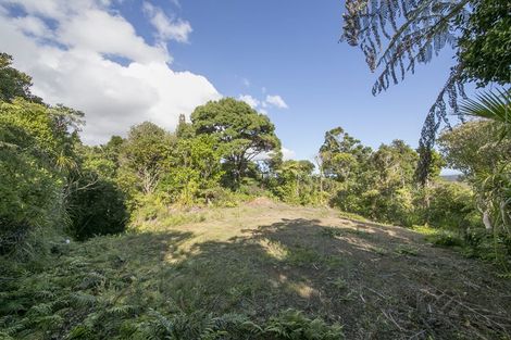 Photo of property in 28 La Trobe Track, Karekare, Auckland, 0772