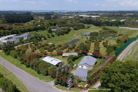 Photo of property in 41 Walker Road West, Aongatete, Katikati, 3178