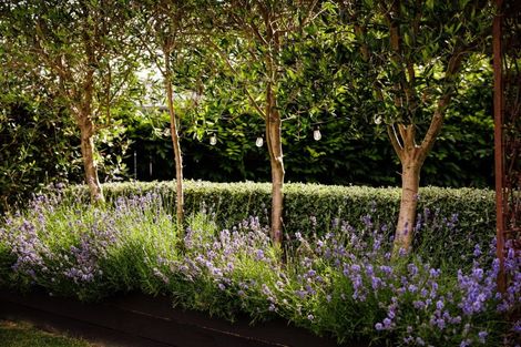 Photo of property in 5 Homestead Lane, Cambridge, 3434