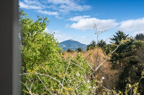 Photo of property in 30 Panmure Avenue, Calton Hill, Dunedin, 9012