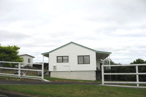 Photo of property in 19 Matatea Avenue, Pukekohe, 2120
