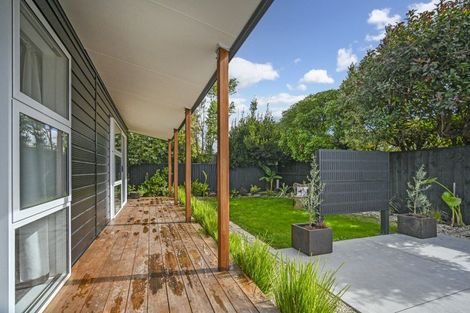 Photo of property in 419a Massey Street, Akina, Hastings, 4122