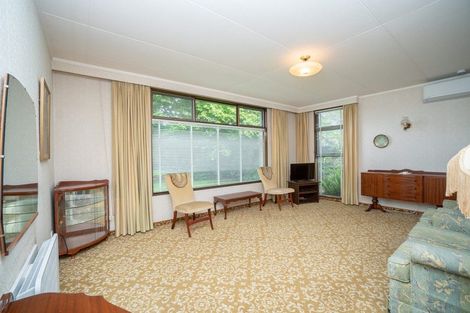 Photo of property in 19 Fitzroy Street, Terrace End, Palmerston North, 4410