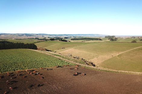 Photo of property in 31 Birss Road, Balclutha, 9272