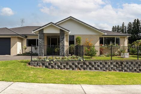 Photo of property in 17 Layla Place, Katikati, 3178
