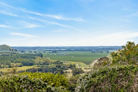 Photo of property in 55 Whakapirau Road, Maraekakaho, Hastings, 4174