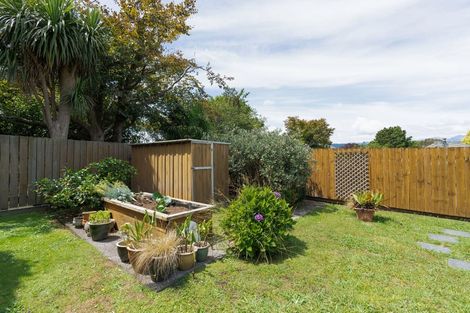 Photo of property in 25 Macarthur Street, Levin, 5510