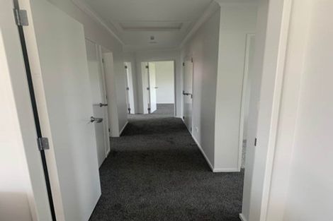 Photo of property in 9 Northcoast Place, Mangawhai Heads, Mangawhai, 0505