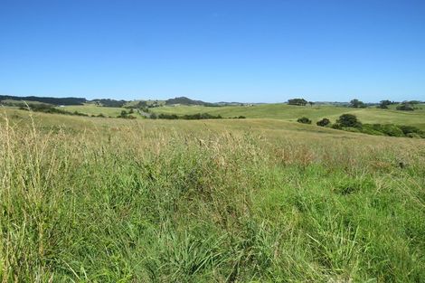 Photo of property in 1514 State Highway 12, Paparoa, Maungaturoto, 0583