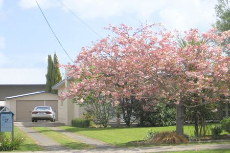 Photo of property in 17 Bank Street, Morrinsville, 3300
