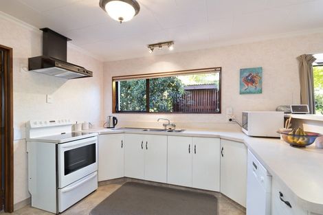 Photo of property in 10 Snow Place, Richmond, 7020