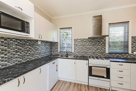 Photo of property in 507 Hastings Street South, Akina, Hastings, 4122