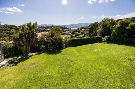 Photo of property in 38 Spottiswoode Street, Andersons Bay, Dunedin, 9013