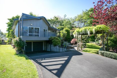 Photo of property in 6 Portsmouth Place, Matamata, 3400