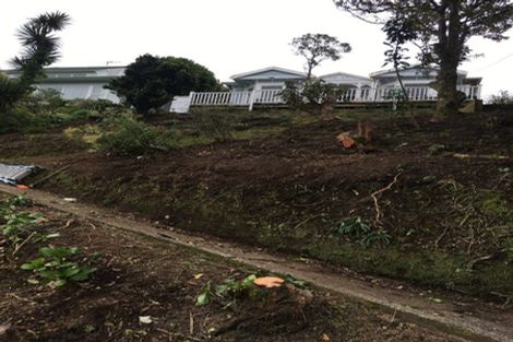 Photo of property in 54 Raroa Road, Kelburn, Wellington, 6012