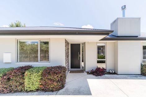 Photo of property in 33a Windsor Street, Terrace End, Palmerston North, 4410