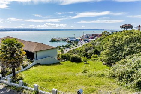 Photo of property in 39 Seapoint Road, Bluff Hill, Napier, 4110