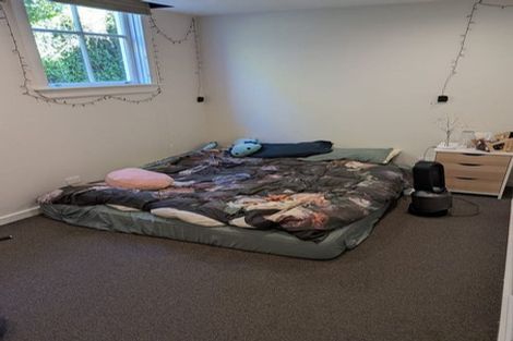 Photo of property in 225 Aro Street, Aro Valley, Wellington, 6021