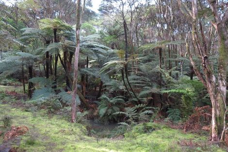 Photo of property in 1026 Manaia Road, Manaia, Coromandel, 3581