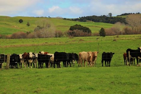 Photo of property in 1008 Tangowahine Valley Road, Tangowahine, Dargaville, 0372