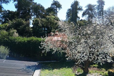 Photo of property in 42 Rata Street, Riccarton, Christchurch, 8041