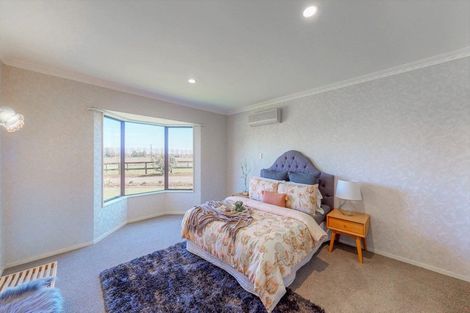 Photo of property in 151 Banks Road, Matamata, 3473