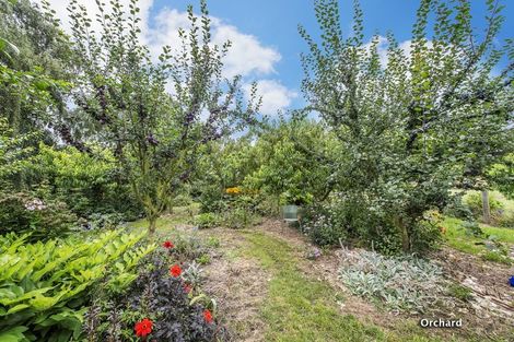 Photo of property in 62 High Street, Southbridge, 7602