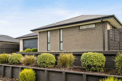 Photo of property in 273 Island Road, Kaiapoi, 7630