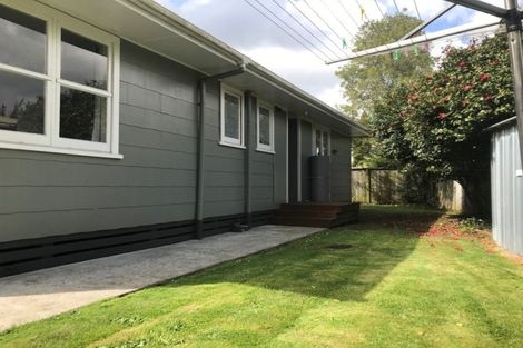 Photo of property in 16b Wilson Street, Hamilton East, Hamilton, 3216