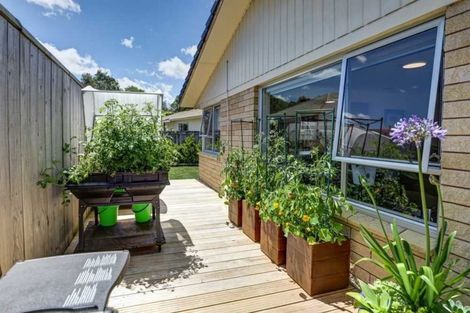 Photo of property in 622 River Road, Chartwell, Hamilton, 3210