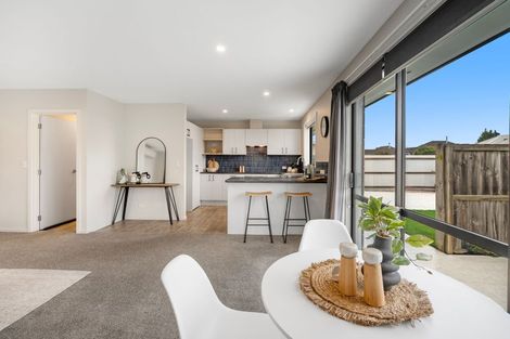 Photo of property in 30 Willow Street, Hampstead, Ashburton, 7700