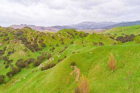 Photo of property in Castlepoint Road, Mangapakeha, Masterton, 5889